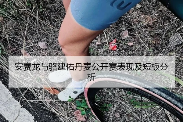 安赛龙与骆建佑丹麦公开赛表现及短板分析